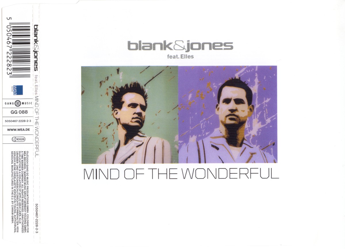 Mind Of The Wonderful cover