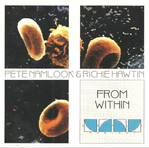 From Within cover
