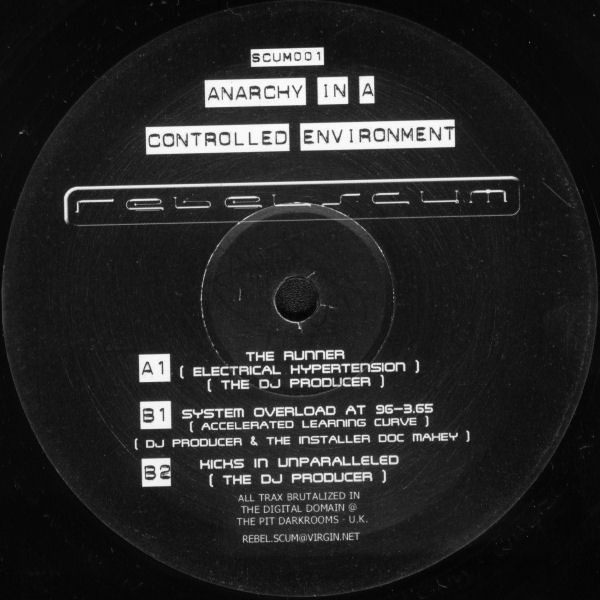 Anarchy In A Controlled Environment cover