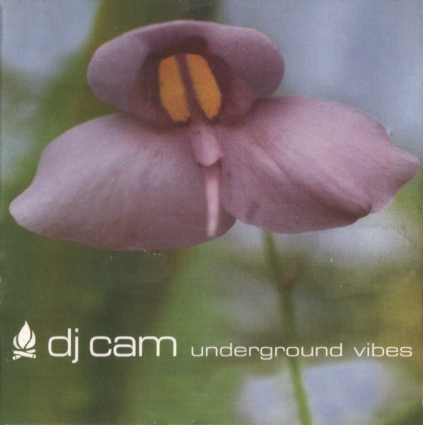 Underground Vibes cover