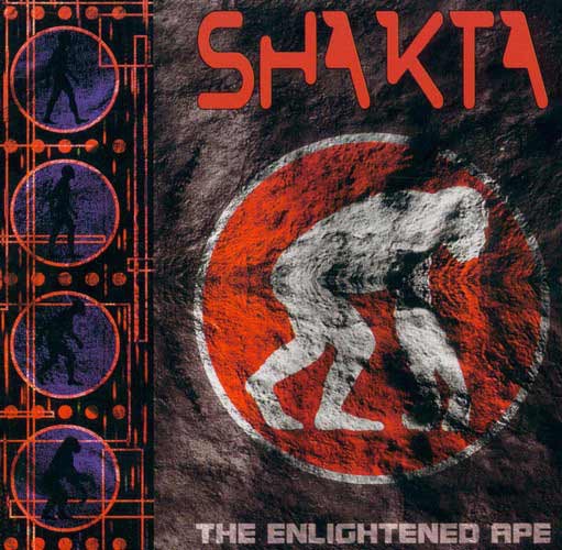 The Enlightened Ape cover