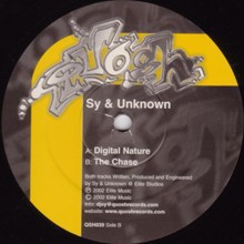 Digital Nature / The Chase cover