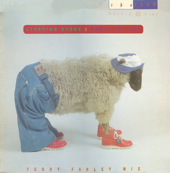 Stepping Stone / Family Of Man (Terry Farley Mix) cover