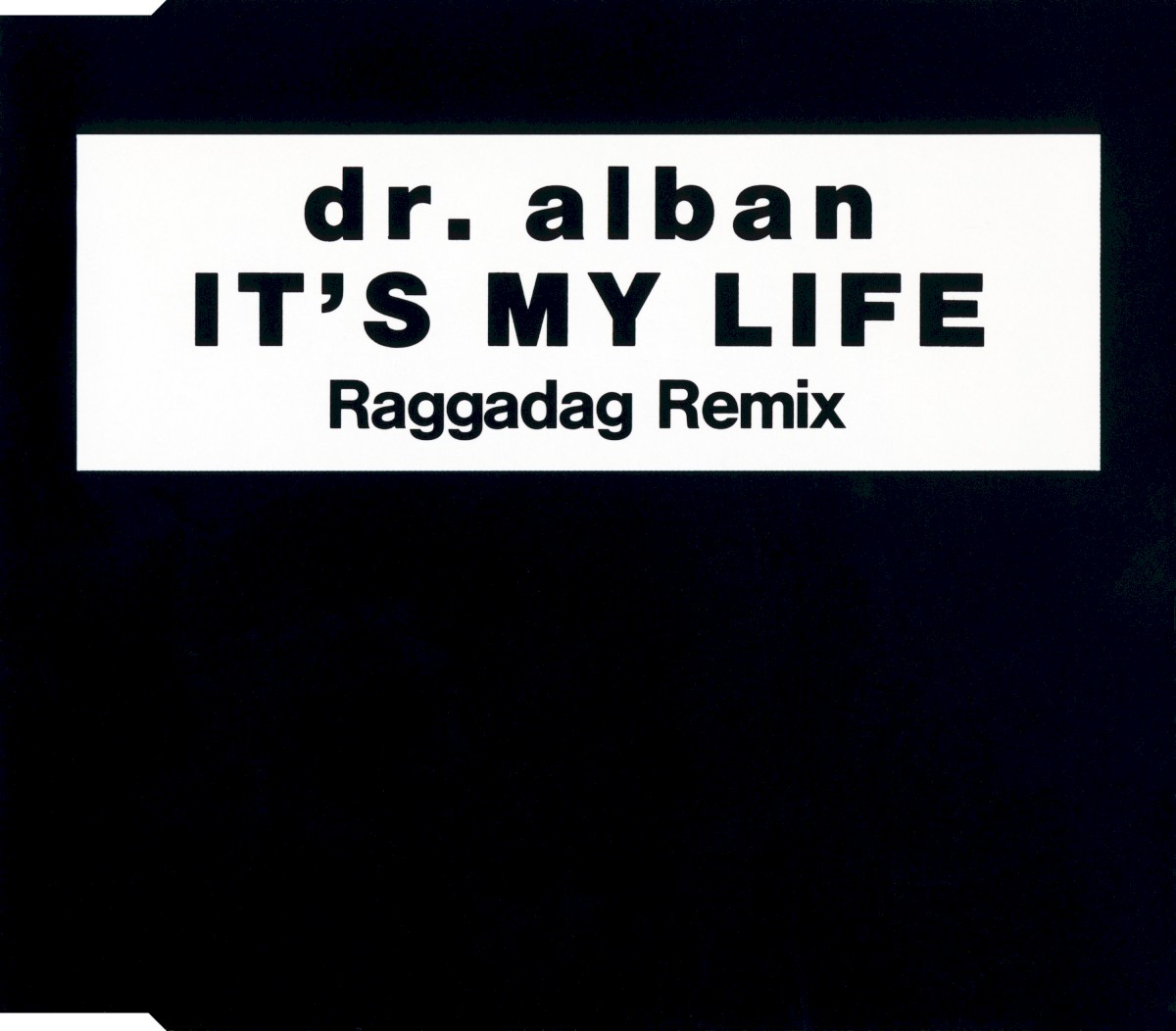 It's My Life (Raggadag Remix) cover