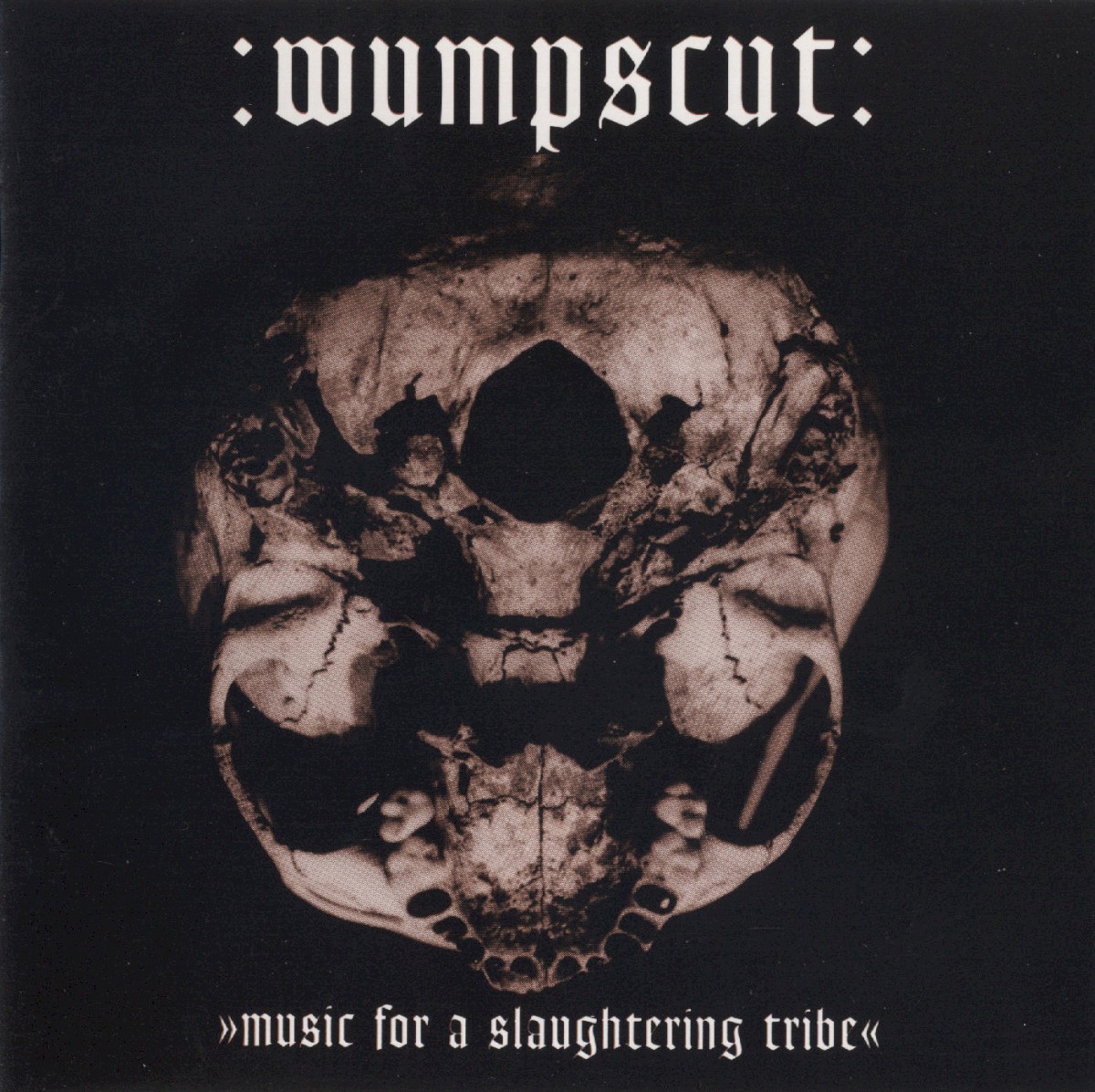Music For A Slaughtering Tribe cover