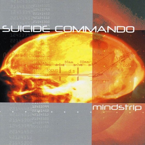 Mindstrip cover