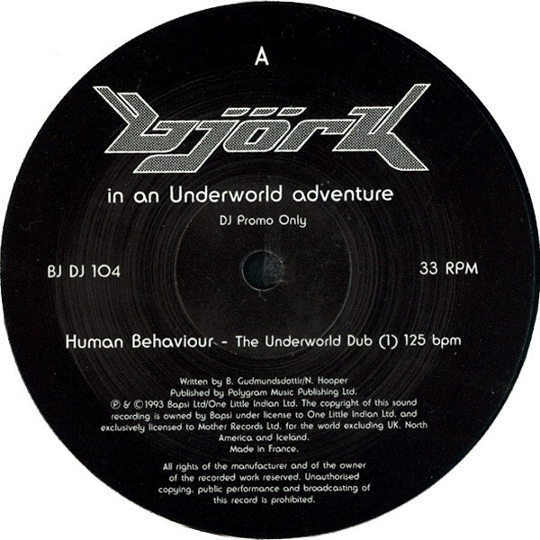 Björk In An Underworld Adventure cover