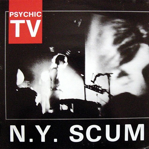 N.Y. Scum cover