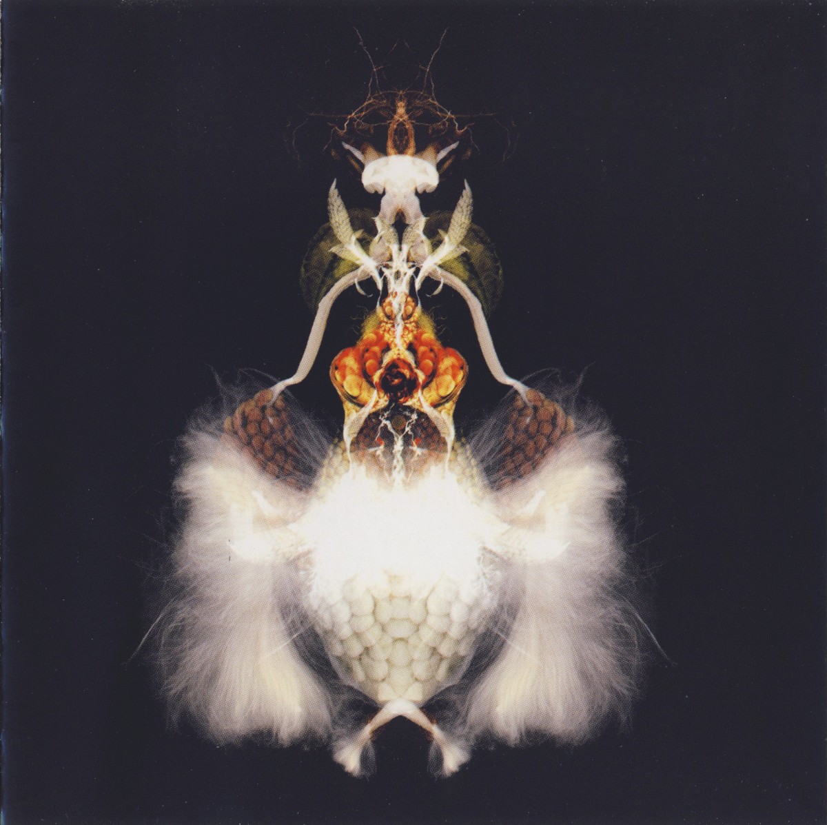 Fyuti cover