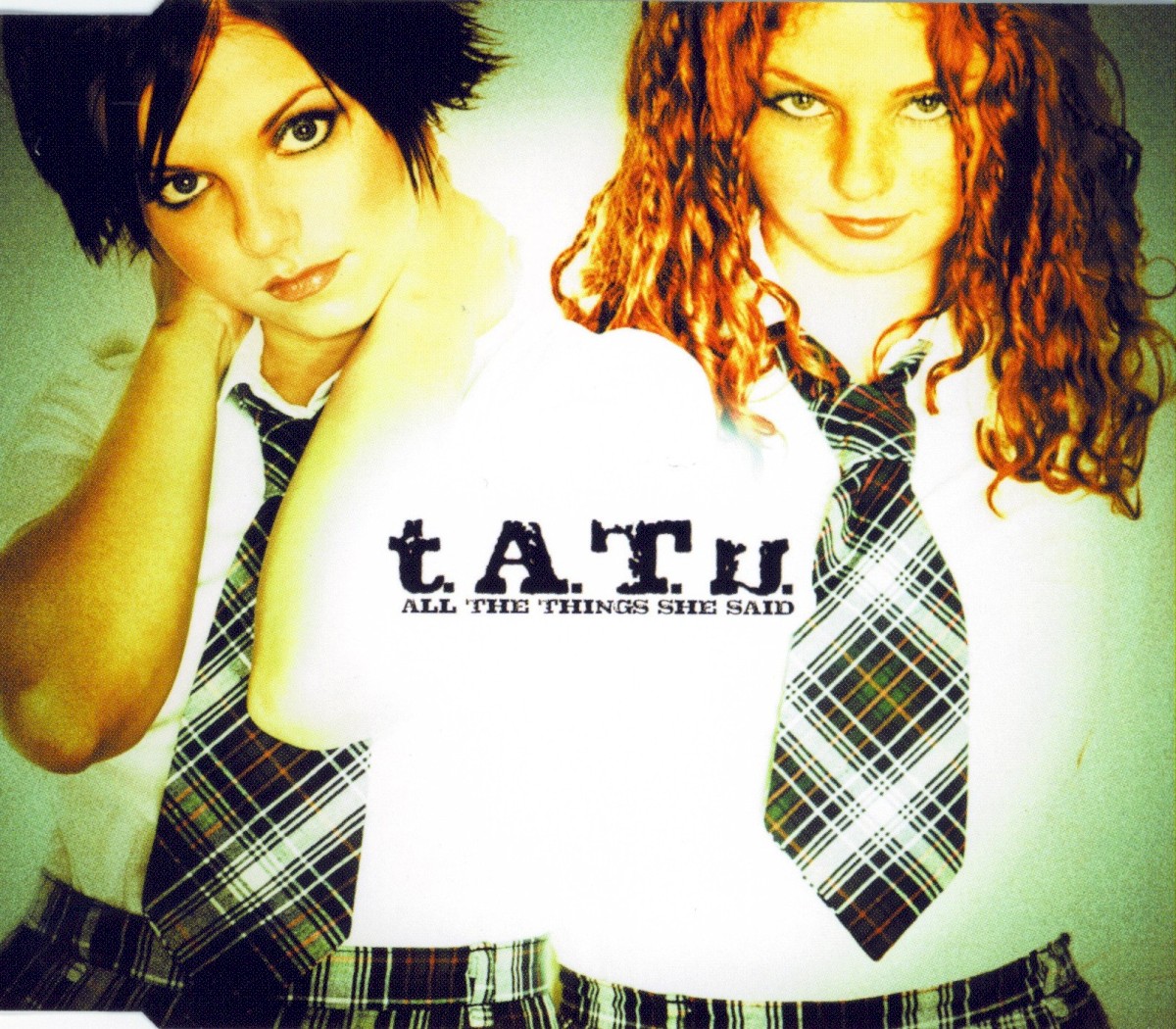 All The Things She Said cover