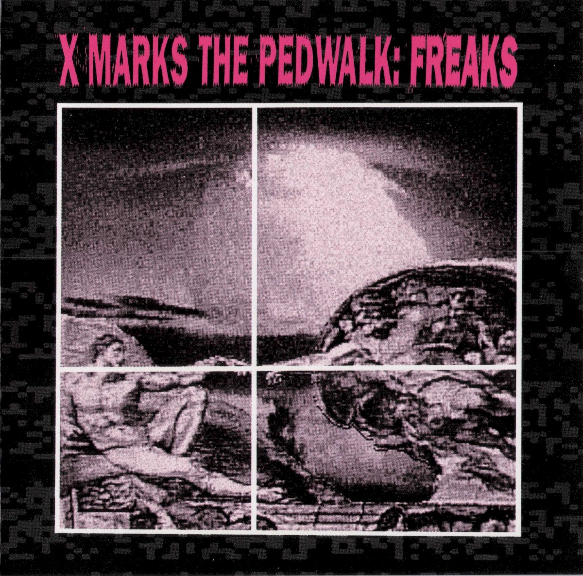 Freaks cover