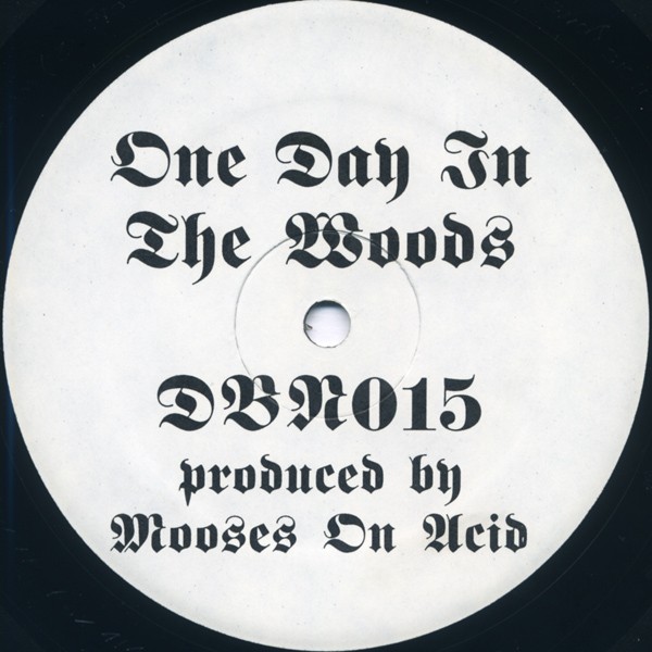 One Day In The Woods cover