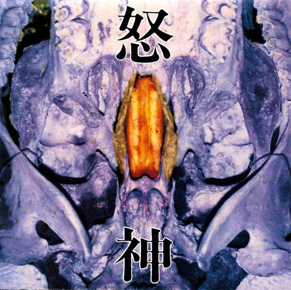 Deus Irae cover
