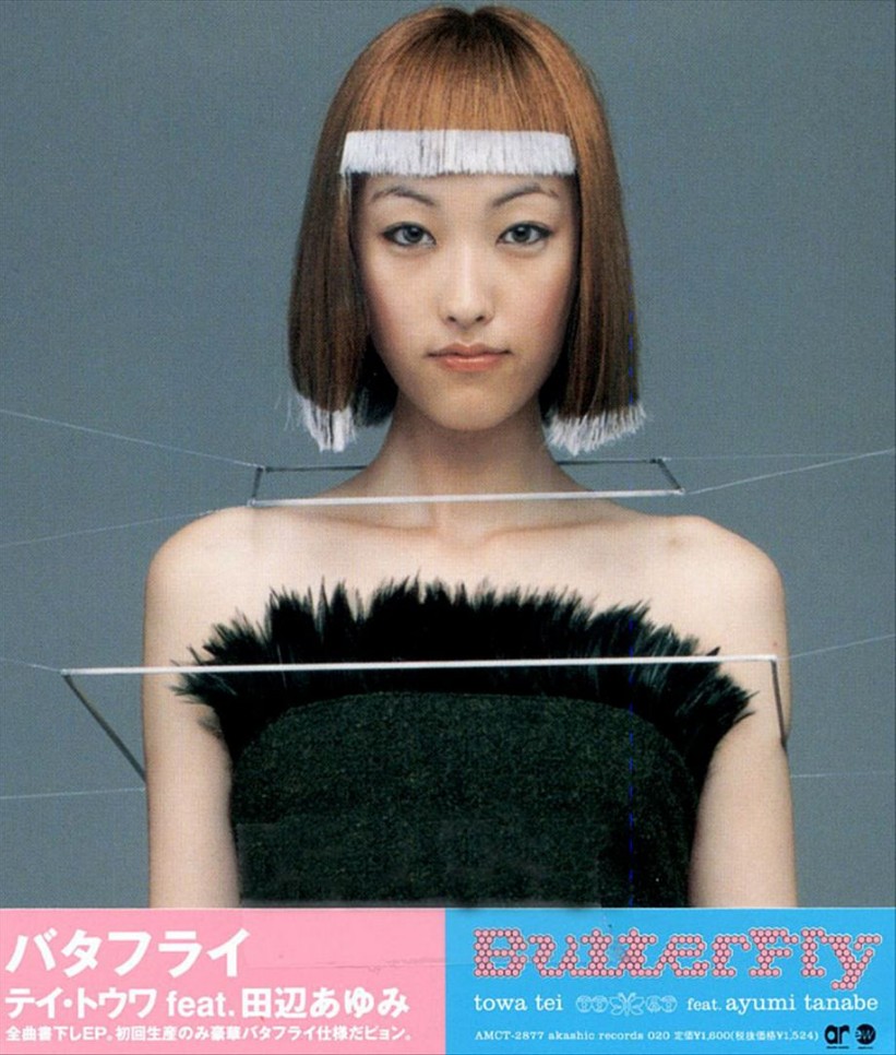 Butterfly cover
