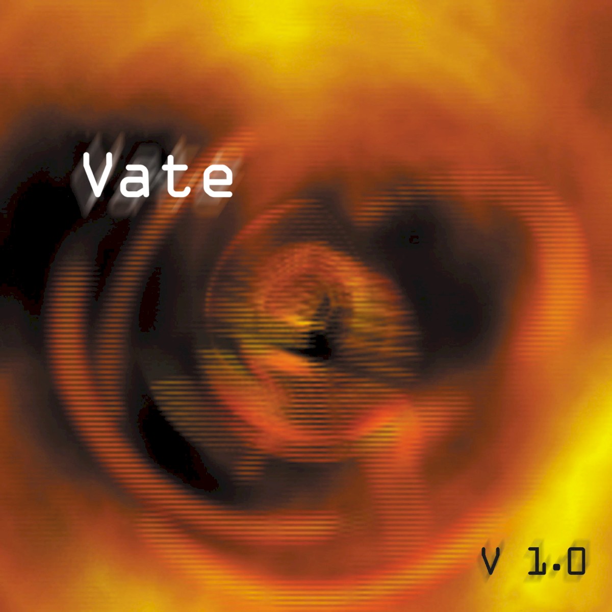 V 1.0 cover