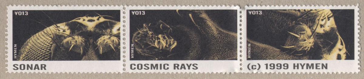 Cosmic Rays cover