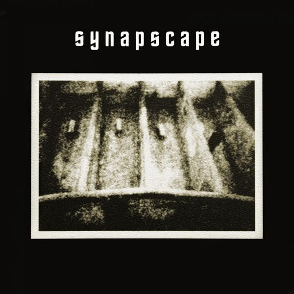 Synapscape cover