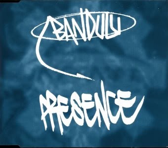 Presence cover
