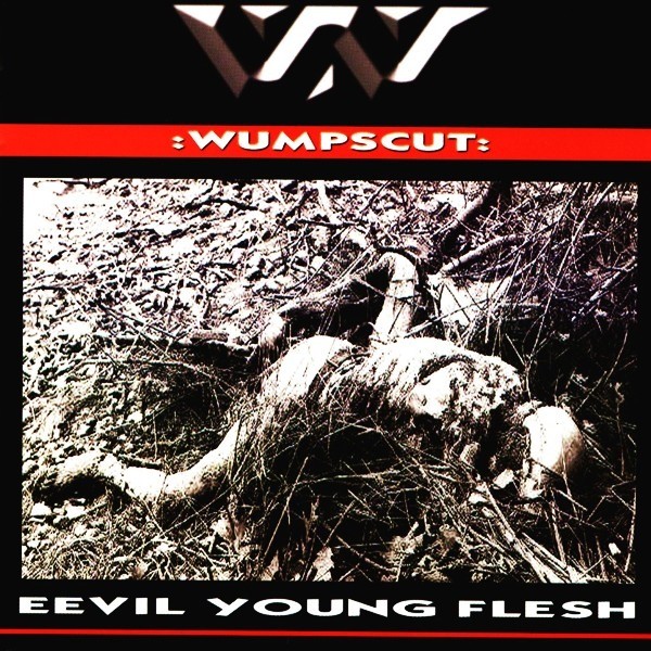 Eevil Young Flesh cover