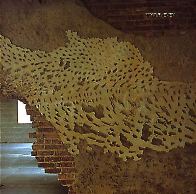 Even cover
