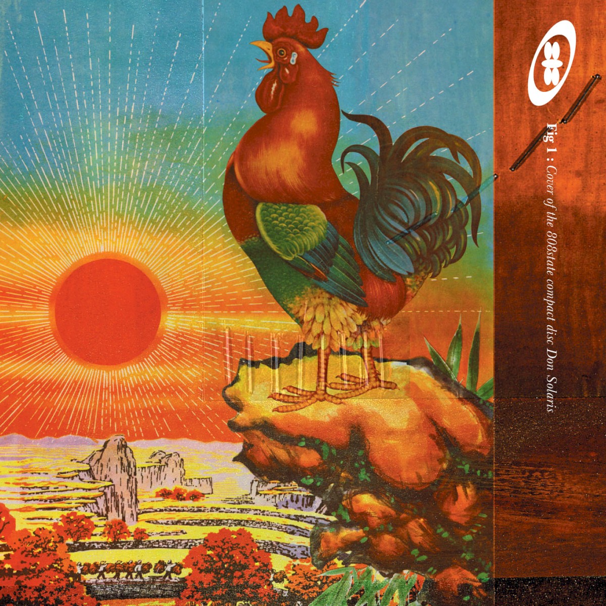 Don Solaris cover