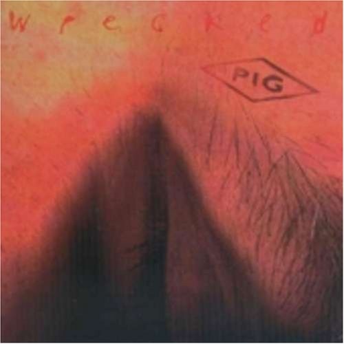 Wrecked cover