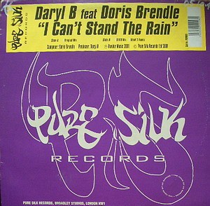 I Can't Stand The Rain cover