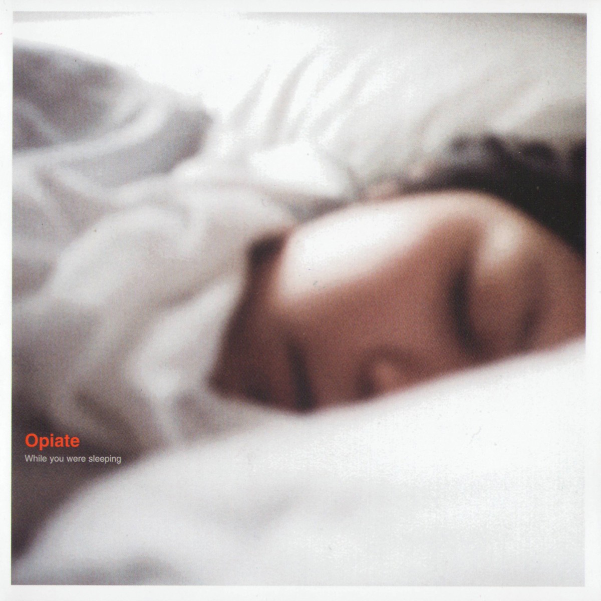 While You Were Sleeping cover