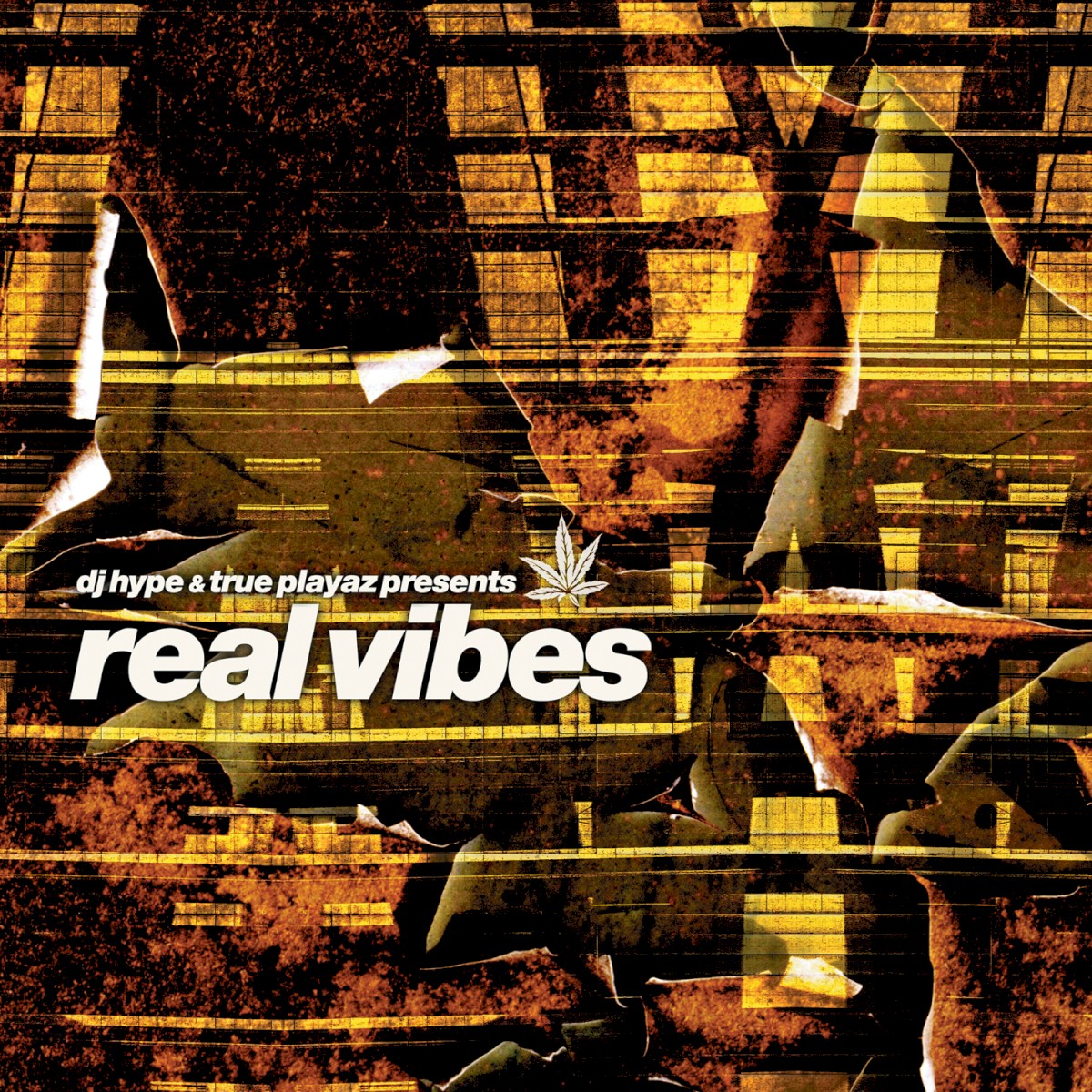 DJ Hype & True Playaz presents Real Vibes cover