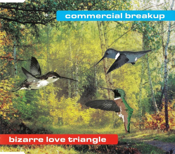 Bizarre Love Triangle cover