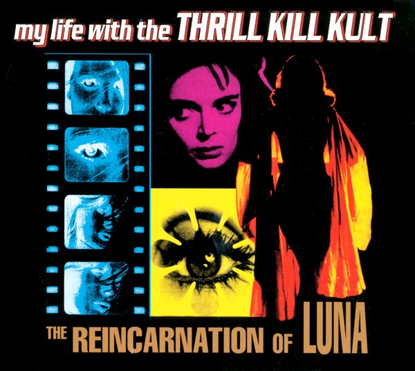 The Reincarnation Of Luna cover