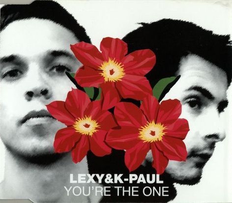 You're The One cover