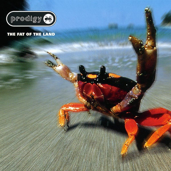 The Fat Of The Land cover