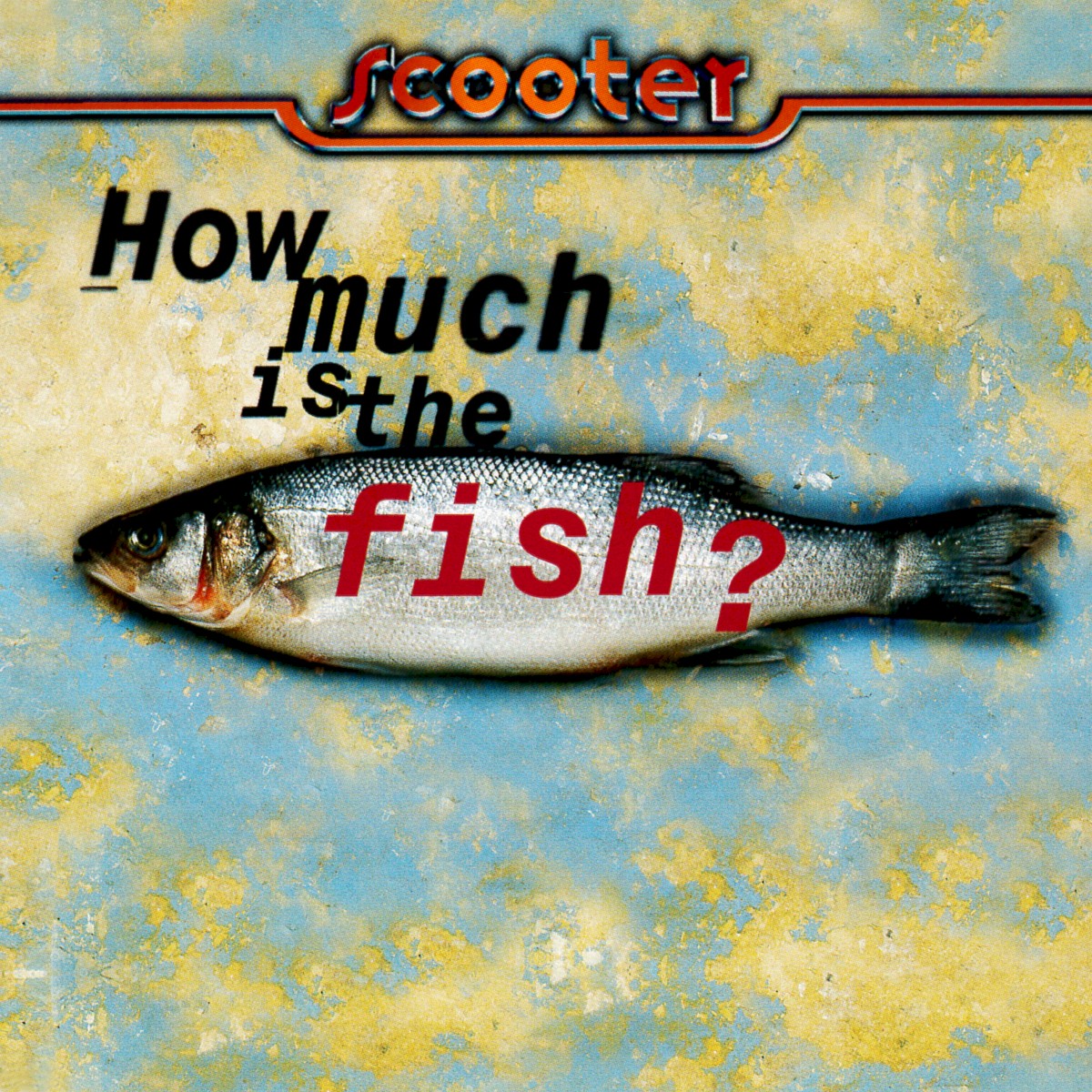 How Much Is The Fish? cover