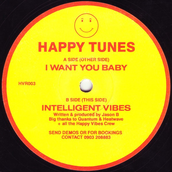 I Want You Baby / Intelligent Vibes cover