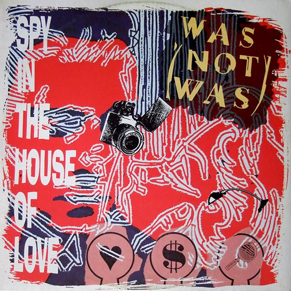 Spy In The House Of Love cover