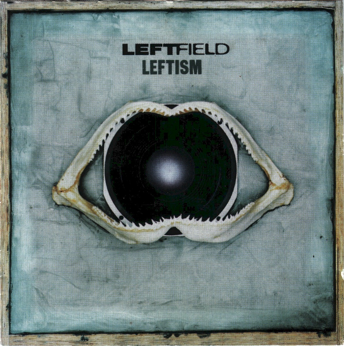 Leftism cover