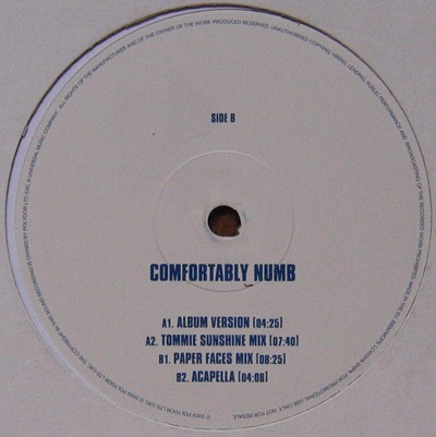 Comfortably Numb cover