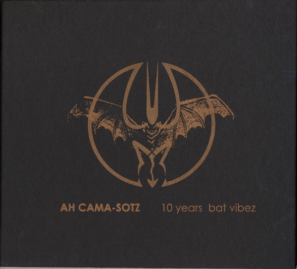 10 Years Bat Vibez cover