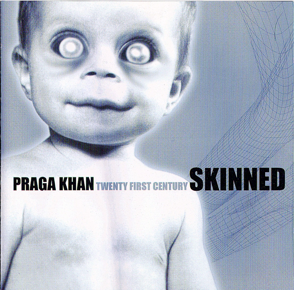 Twenty First Century Skinned cover
