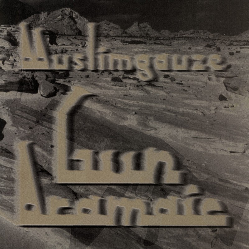 Gun Aramaic cover