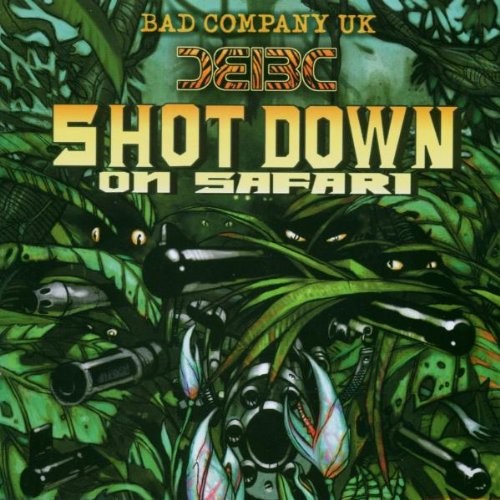 Shot Down On Safari cover