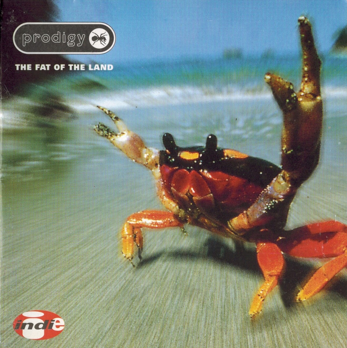 The Fat Of The Land cover