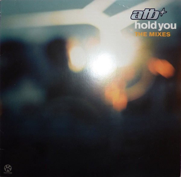 Hold You (The Mixes) cover