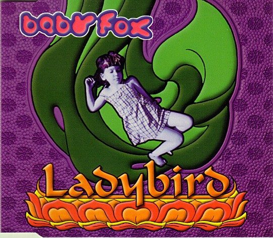 Ladybird cover