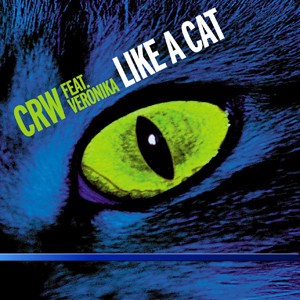 Like A Cat cover