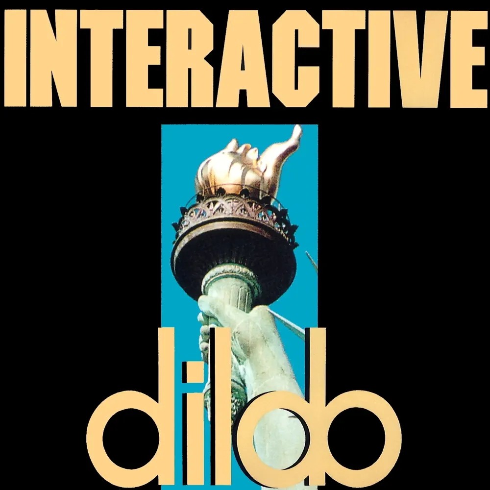 Dildo cover