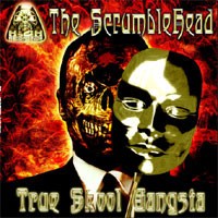 True Skool Gangsta cover