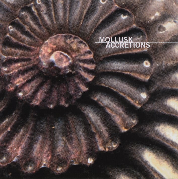 Accretions cover