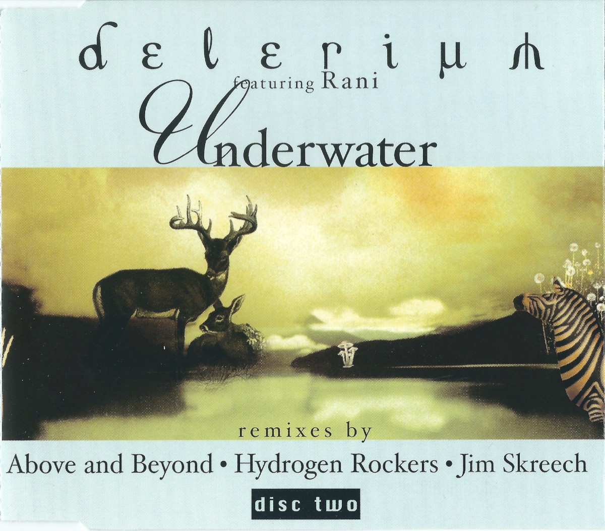 Underwater cover